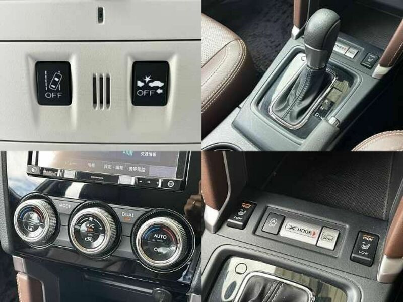 FORESTER-6