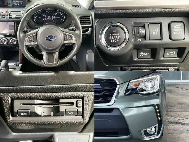 FORESTER-7