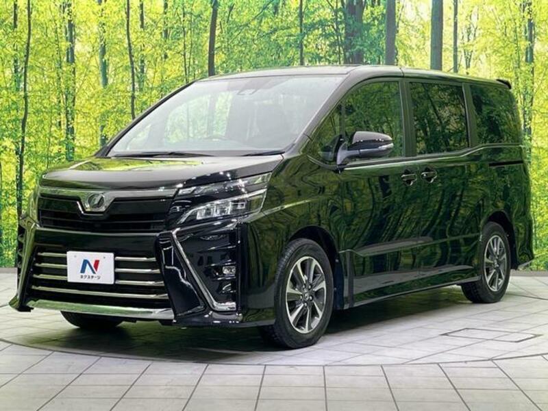 VOXY-17