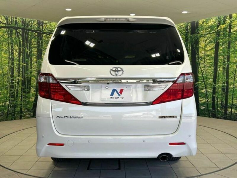 ALPHARD-13