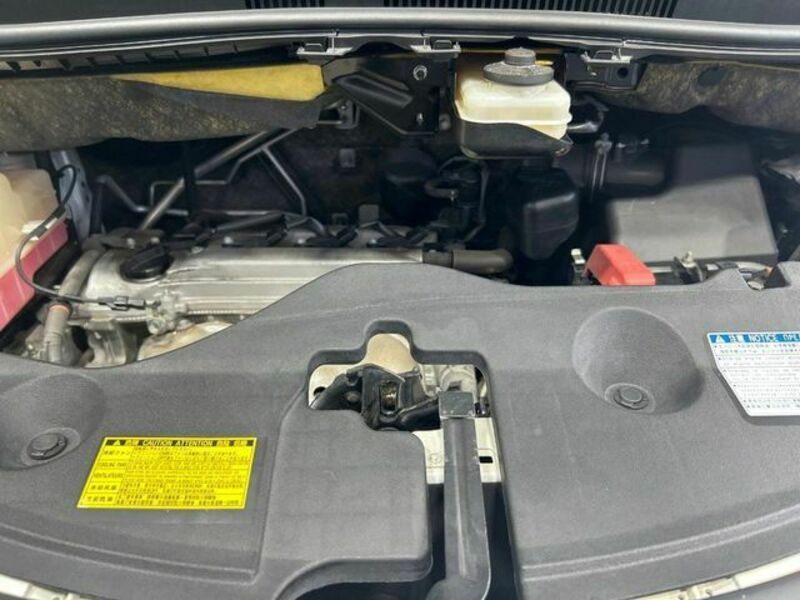 ALPHARD-16