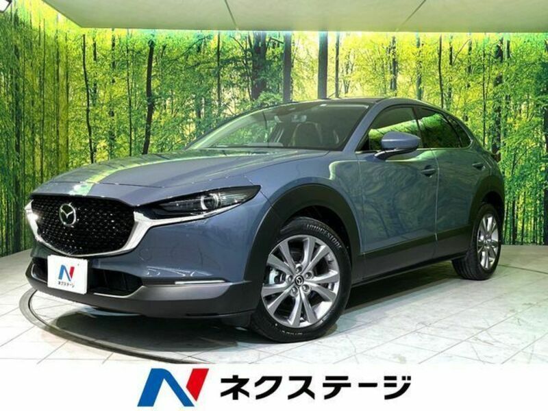 CX-30