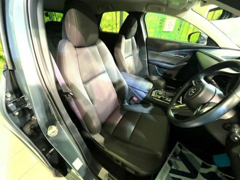 CX-30