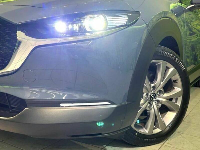 CX-30