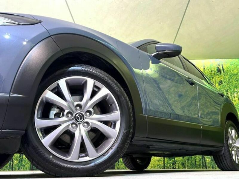 CX-30