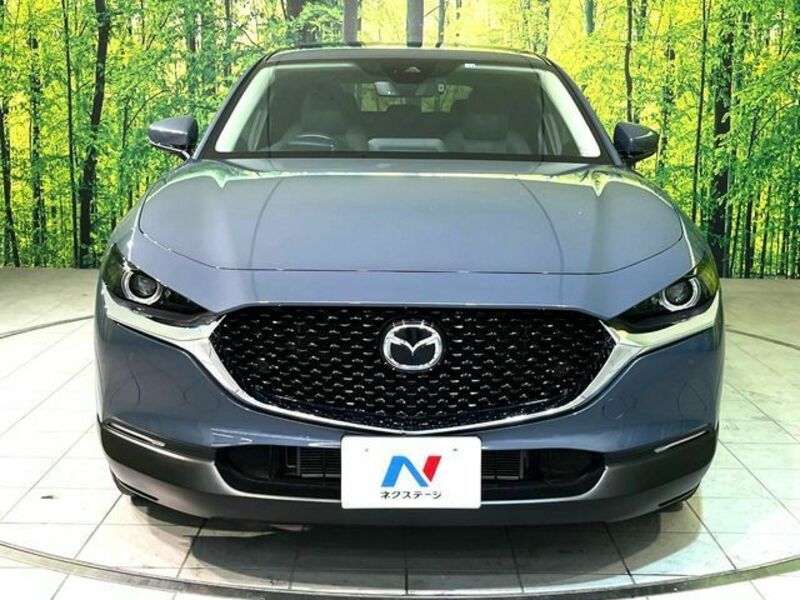 CX-30