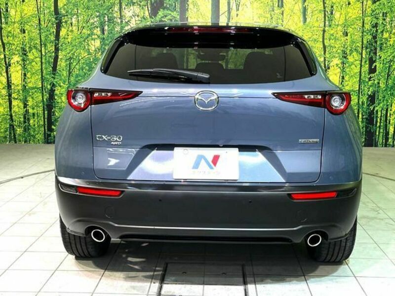 CX-30