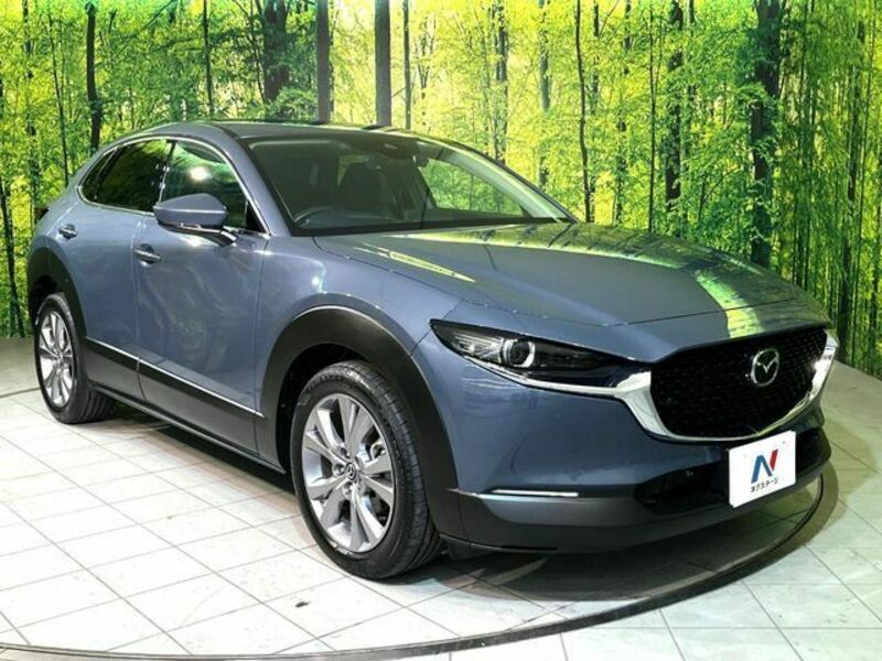 CX-30