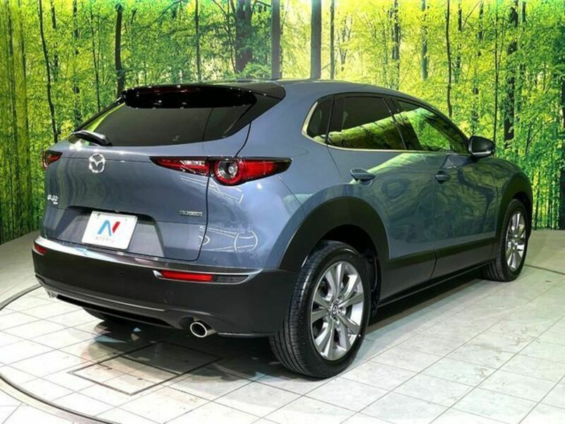 CX-30