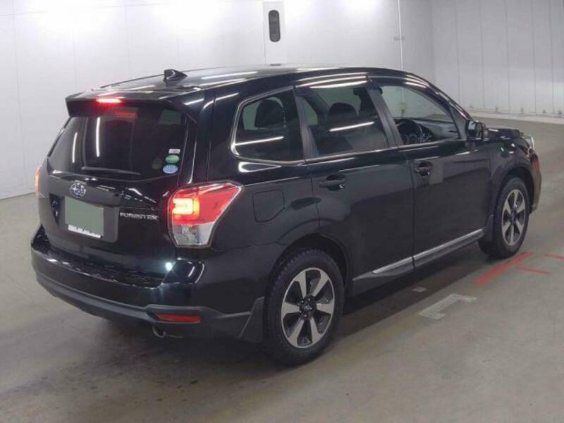 FORESTER-5