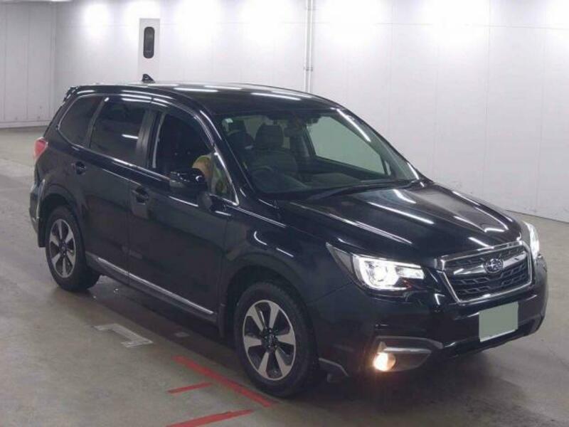 FORESTER
