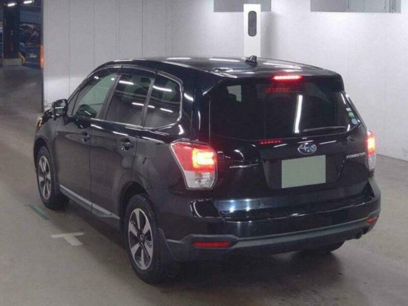 FORESTER-1