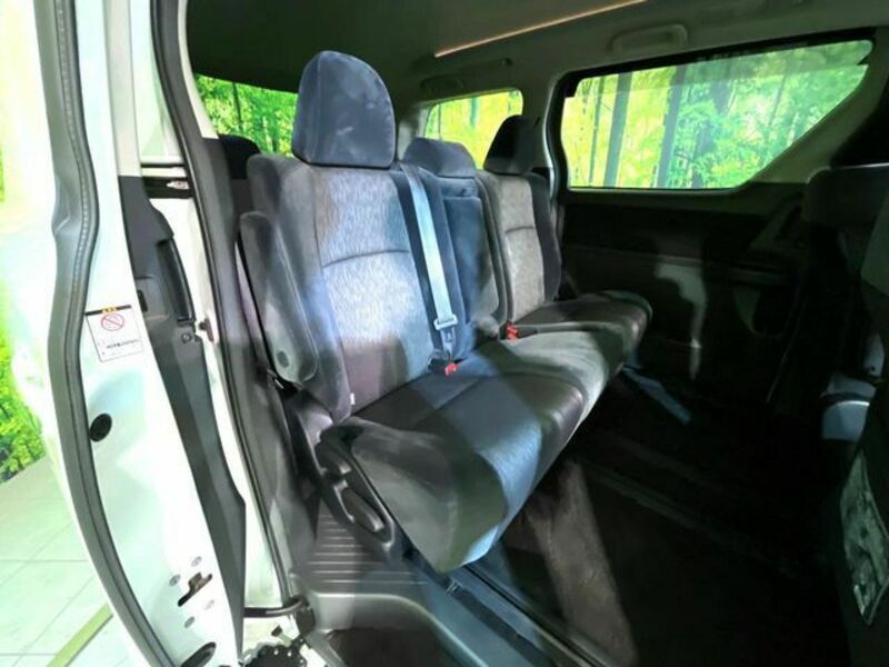 ALPHARD-8