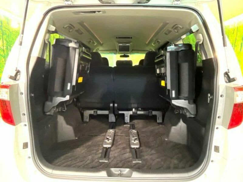 ALPHARD-10