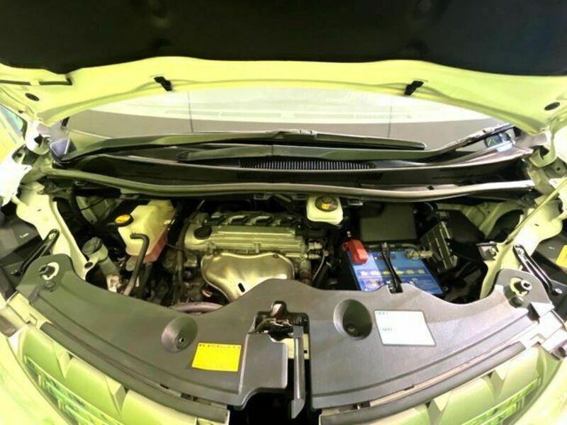 ALPHARD-18