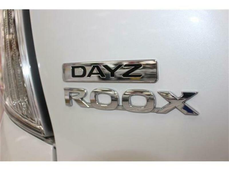 DAYZ ROOX