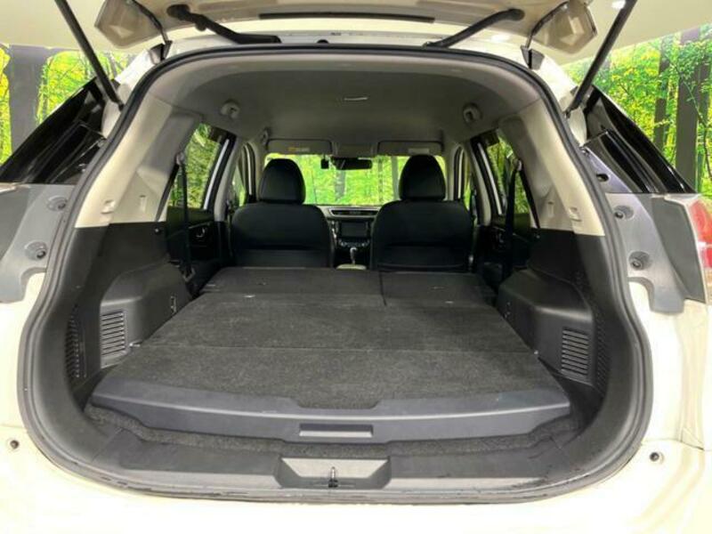 X-TRAIL-10