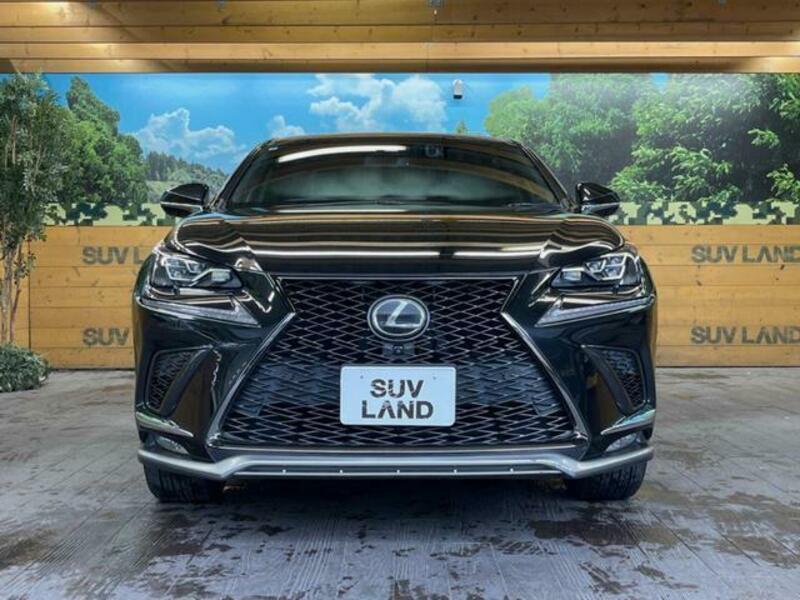 NX