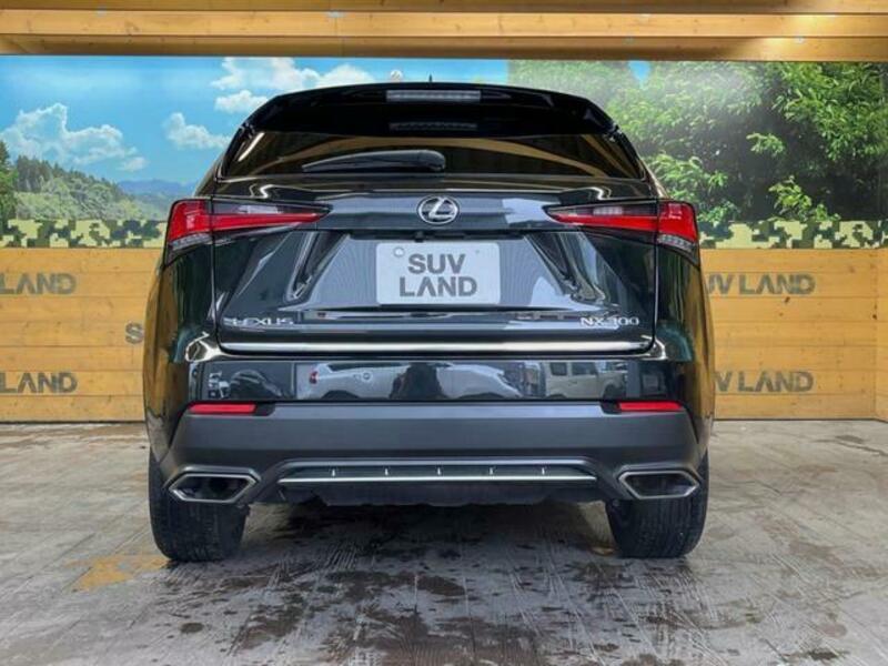 NX