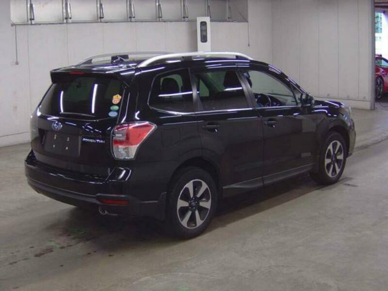 FORESTER-5