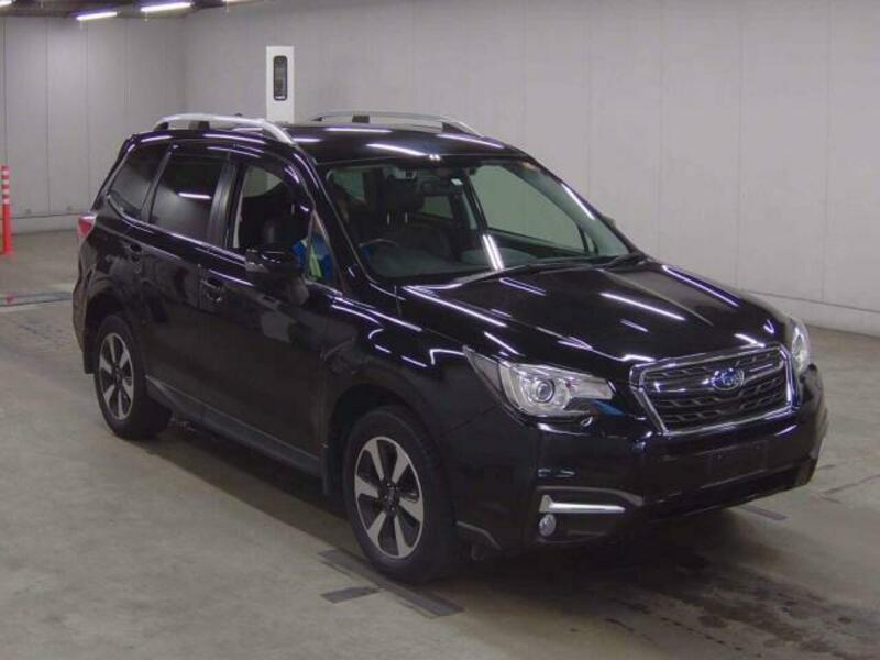 FORESTER