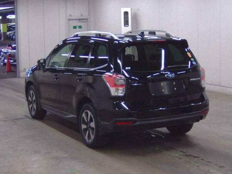 FORESTER-1