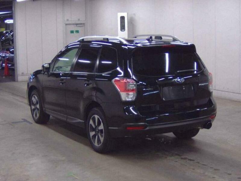 FORESTER-1