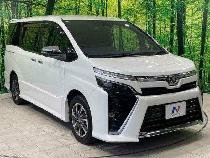 VOXY-17