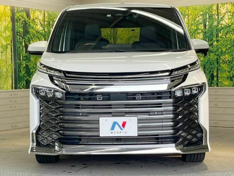 VOXY-14