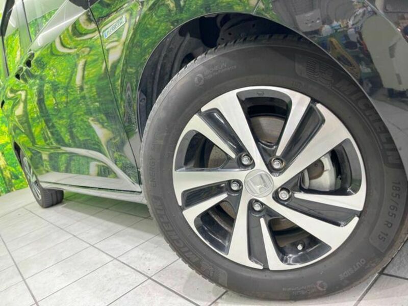 FREED HYBRID-12