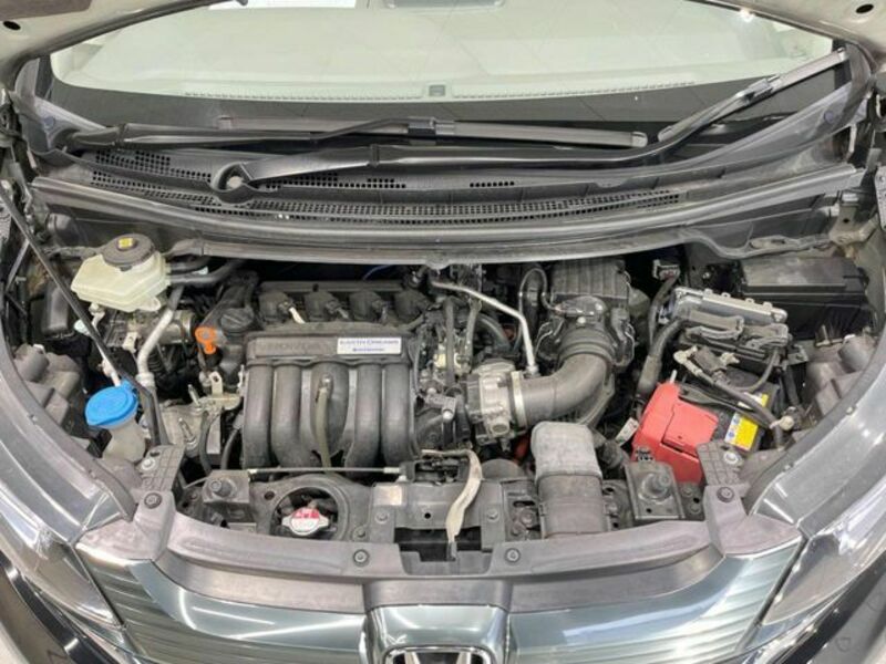FREED HYBRID-17