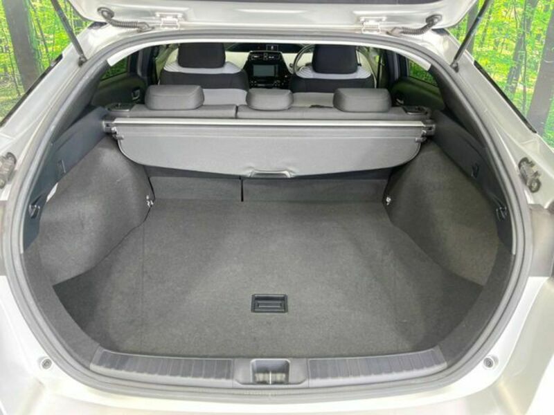 PRIUS-9
