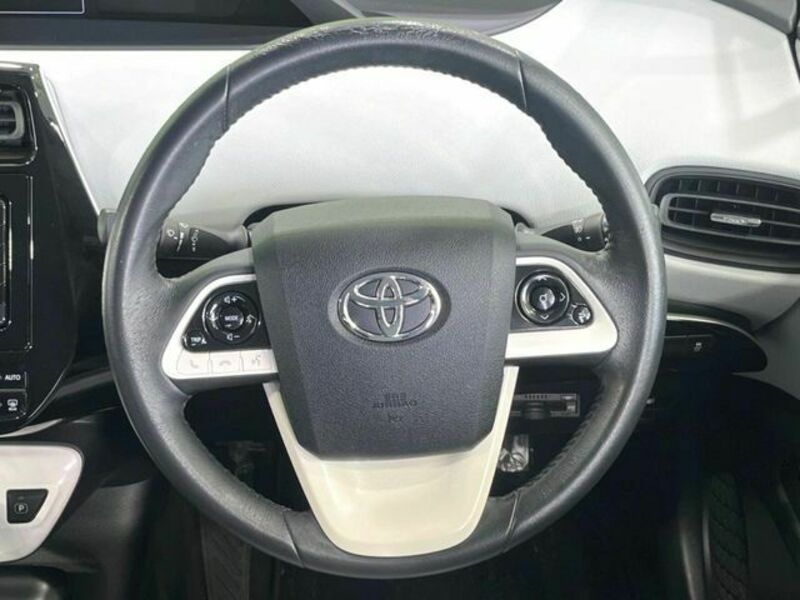 PRIUS-10