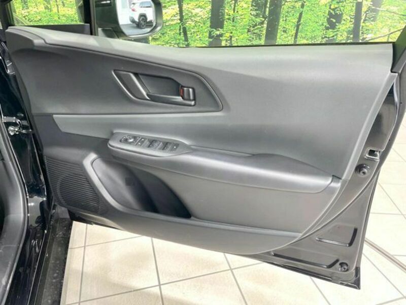 PRIUS-19