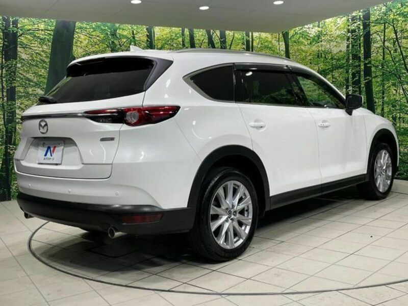 CX-8