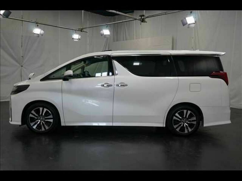ALPHARD-14