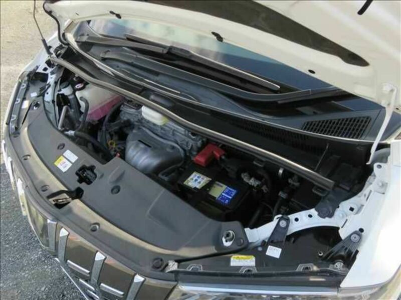 ALPHARD-19