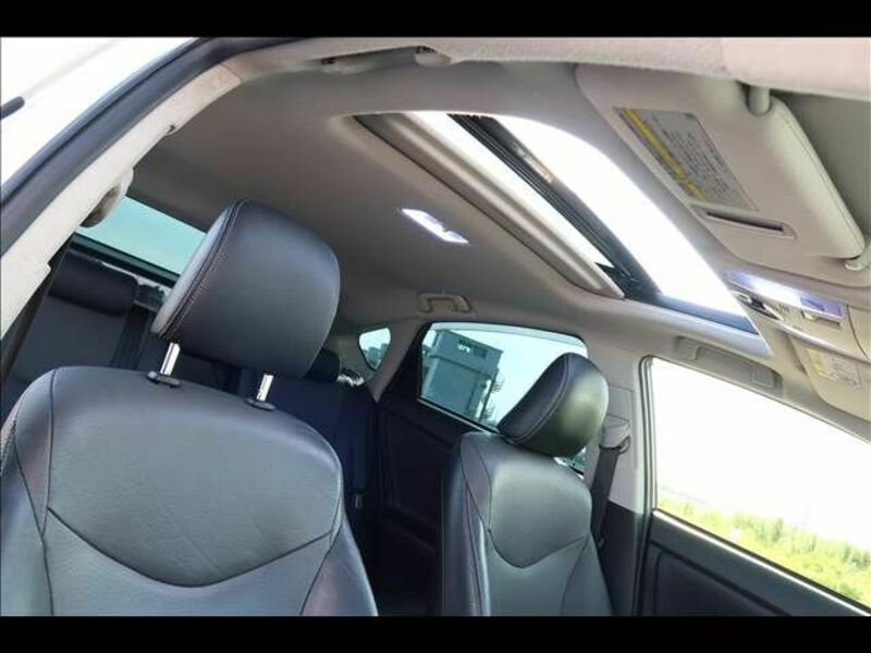 PRIUS-21