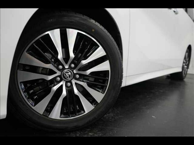 ALPHARD-3