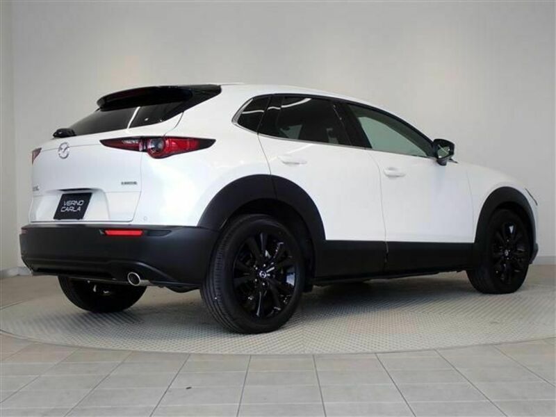 CX-30-1