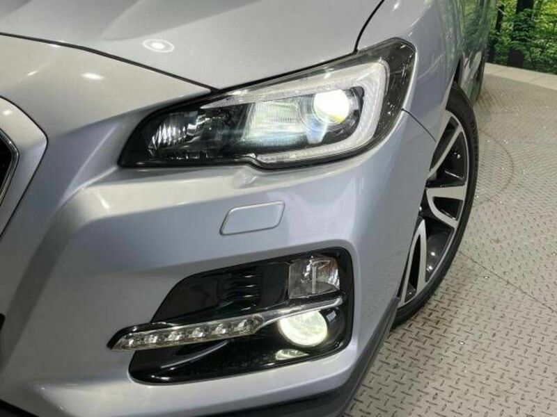 LEVORG