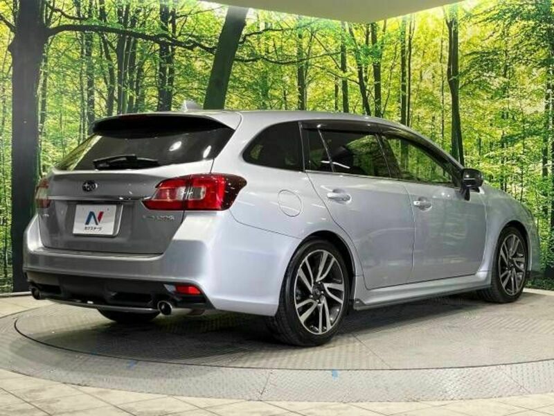 LEVORG