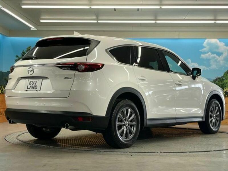CX-8