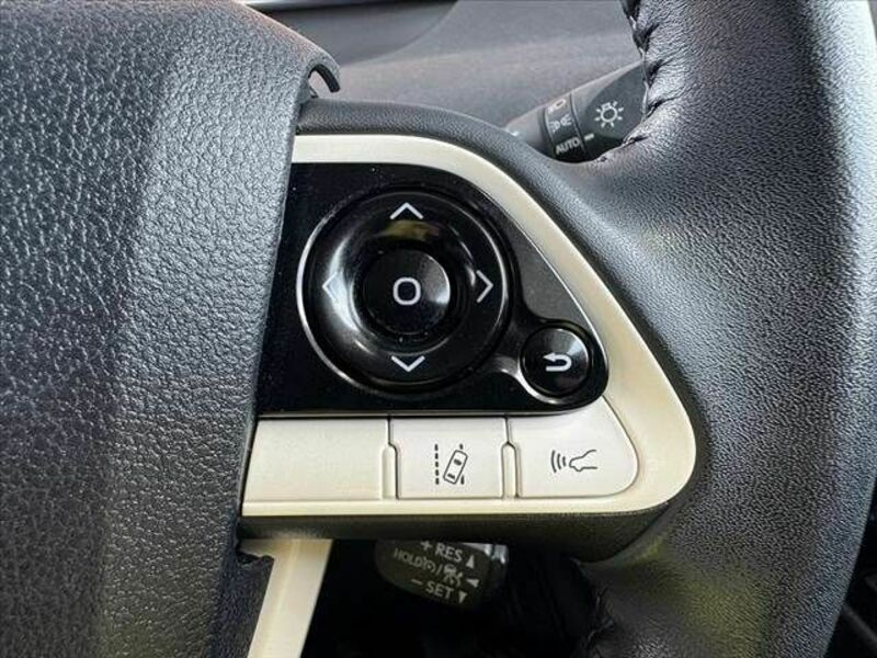 PRIUS-4