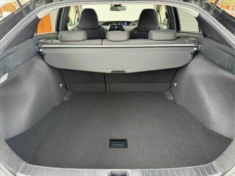 PRIUS-19