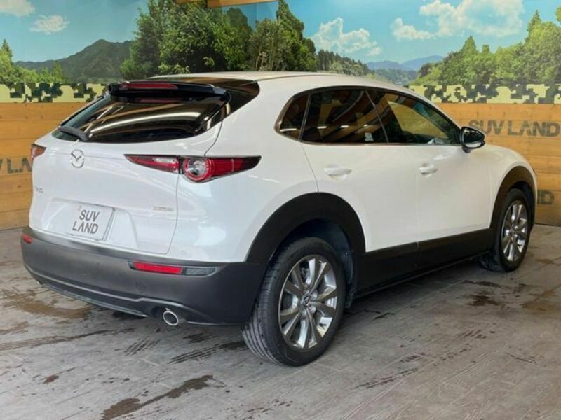 CX-30-17