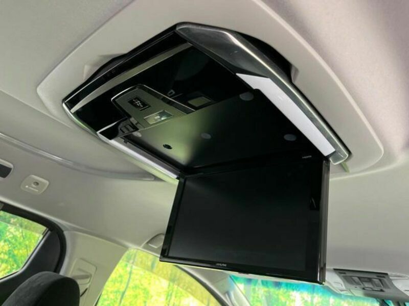 ALPHARD-4