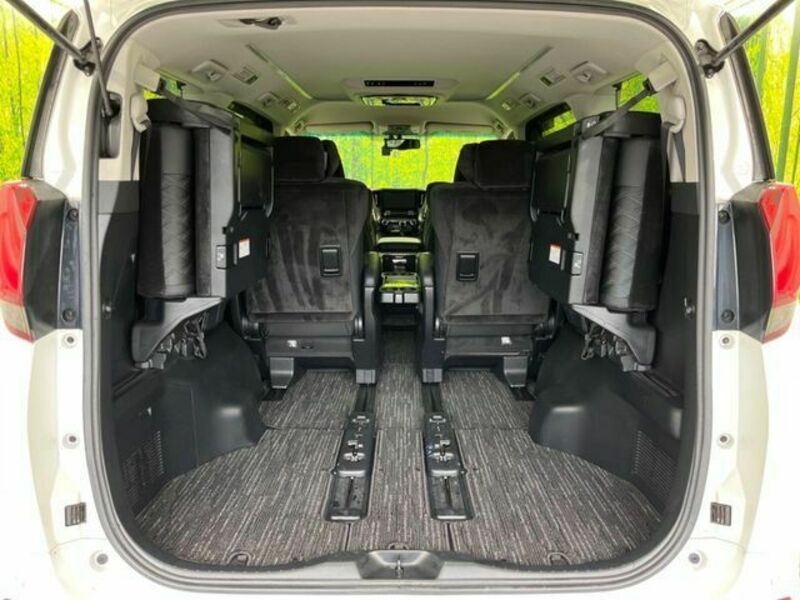 ALPHARD-10