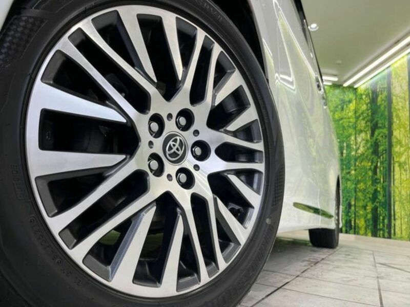 ALPHARD-13