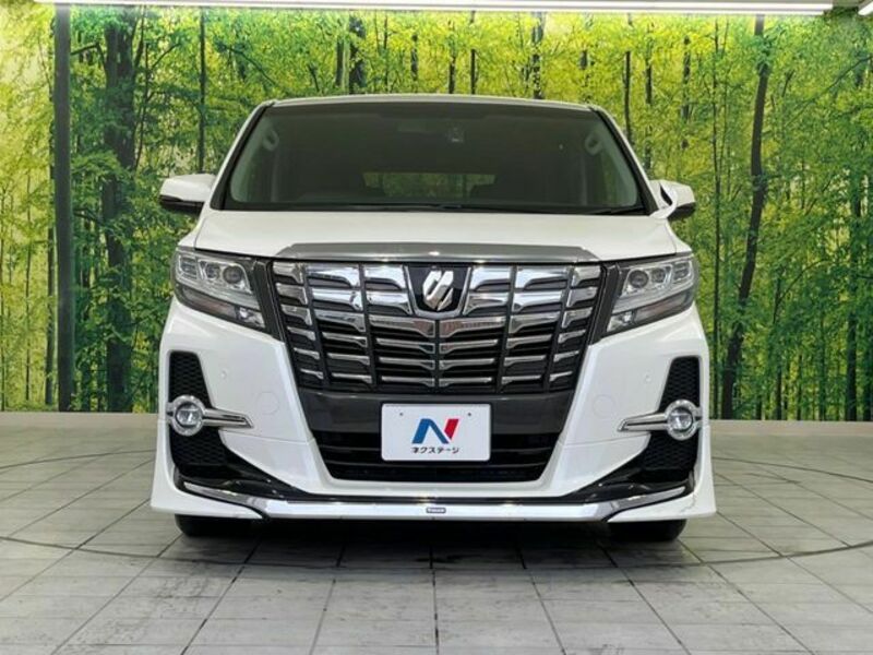 ALPHARD-14
